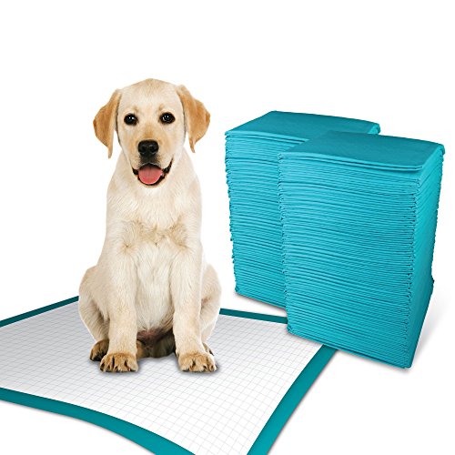 Puppy Training Pads - Pack of 25 60x90